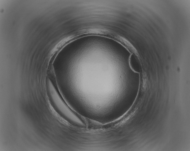 X0000082740938200702091859