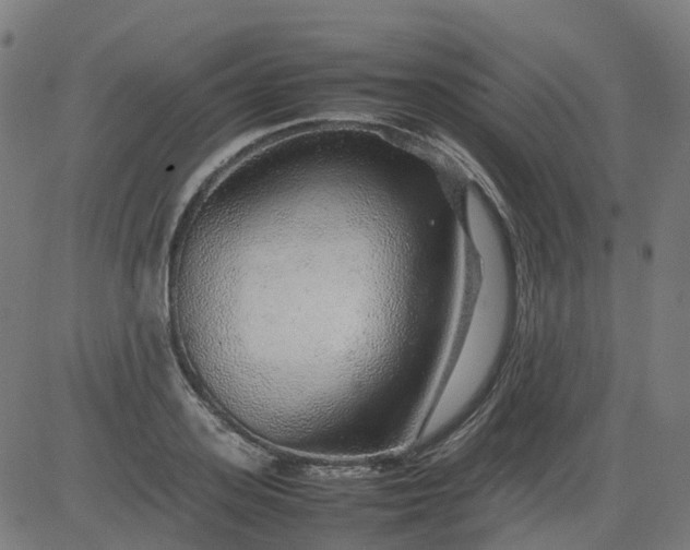 X0000082740939200702091900