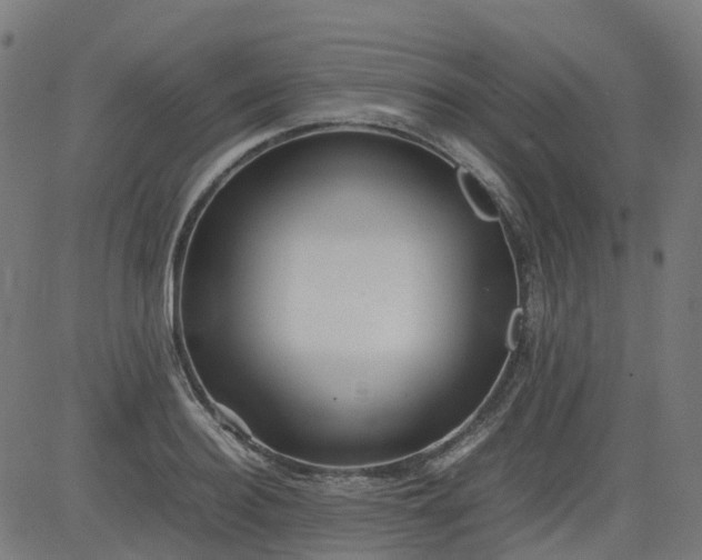 X0000082740940200702091900