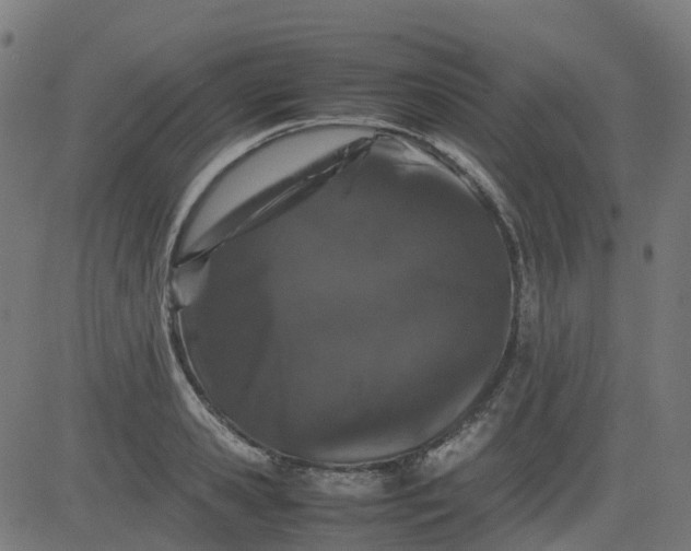 X0000082740941200702091900