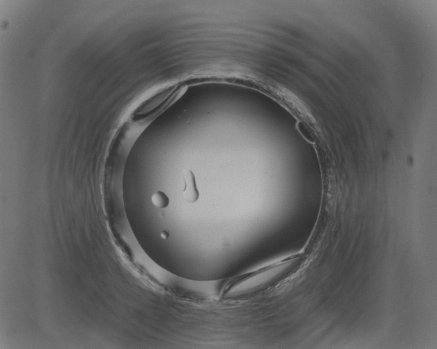 X0000082740942200702091900