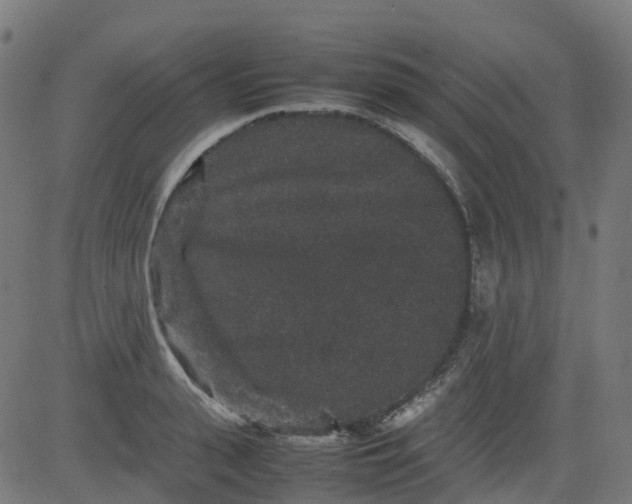 X0000082740943200702091900