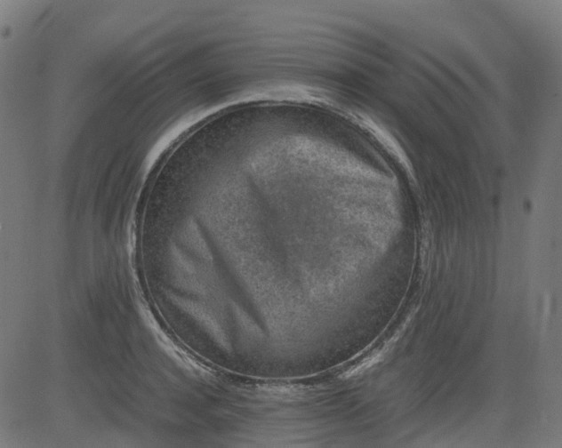 X0000082740944200702091900