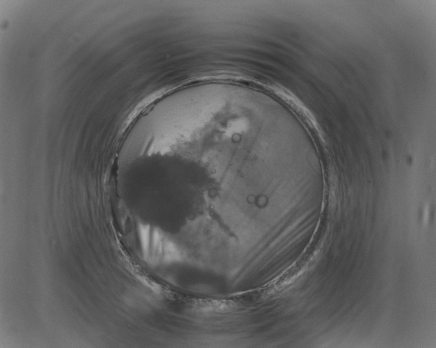 X0000082740945200702091900