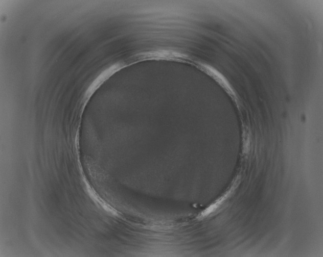 X0000082740946200702091900