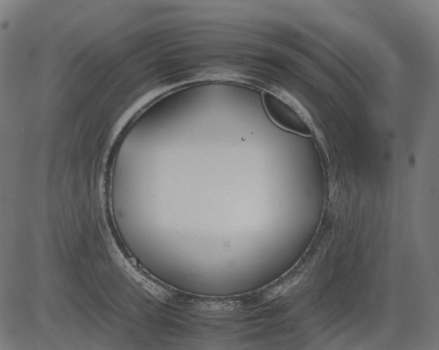 X0000082740947200702091900