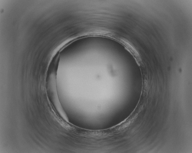 X0000082740948200702091900