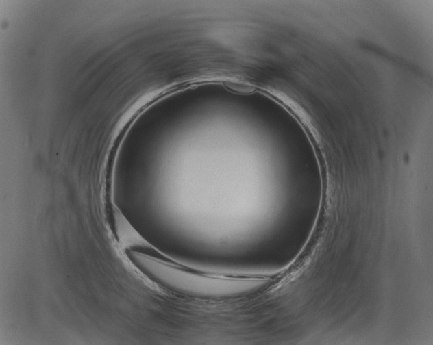 X0000082740949200702091900