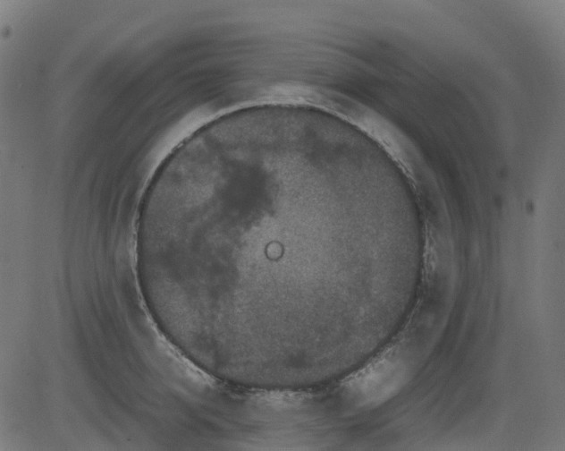 X0000082740950200702091900