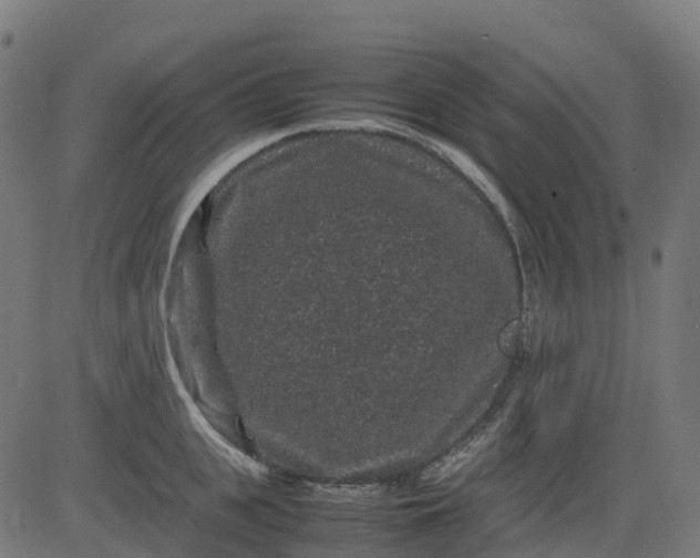 X0000082740951200702091900