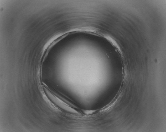 X0000082740952200702091900