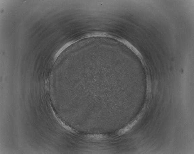 X0000082740953200702091900