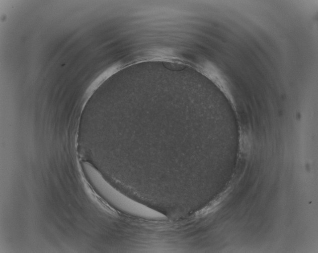 X0000082740954200702091900