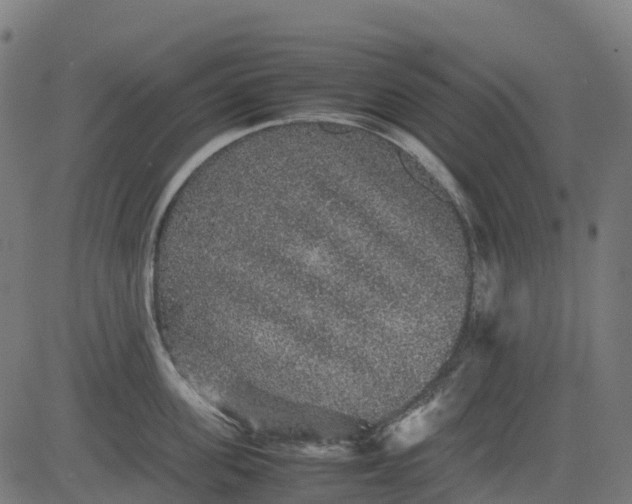 X0000082740955200702091900