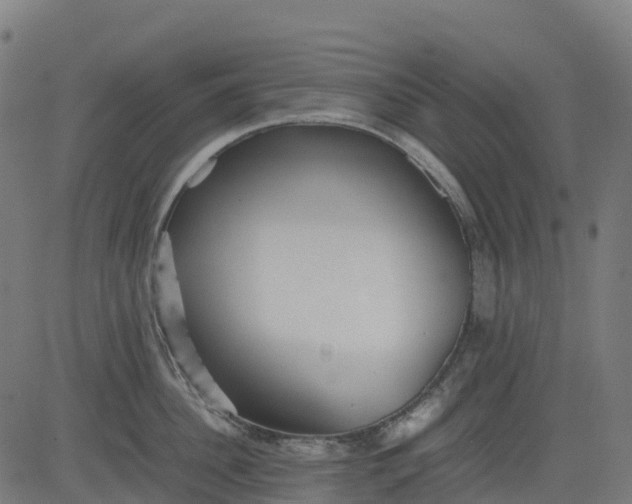 X0000082740956200702091900