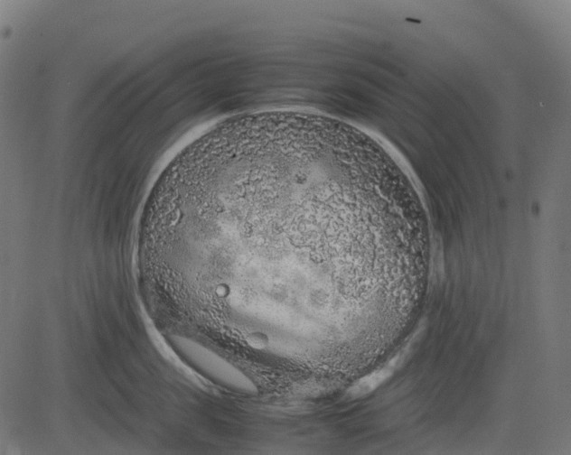 X0000082740957200702091900