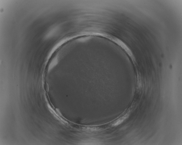 X0000082740958200702091900