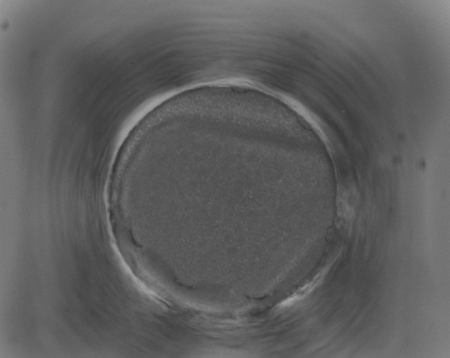 X0000082740959200702091900