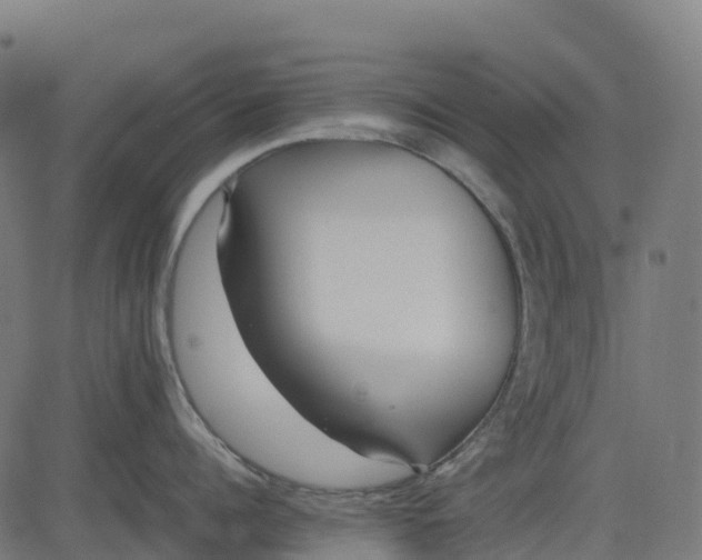 X0000082740960200702091900