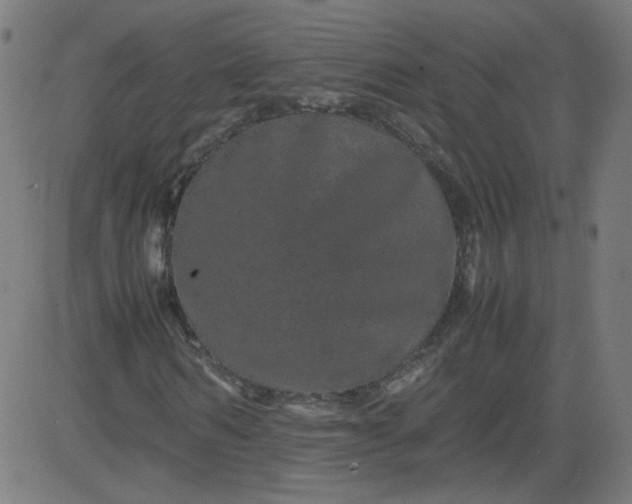 X0000082740962200702091859