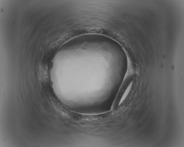 X0000082740963200702091859