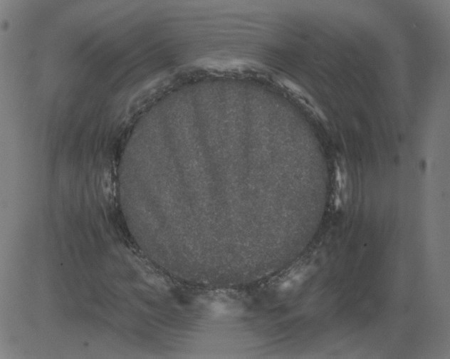 X0000082740966200702091859