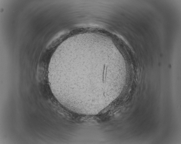 X0000082740967200702091859