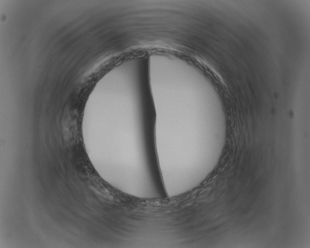 X0000082740968200702091859