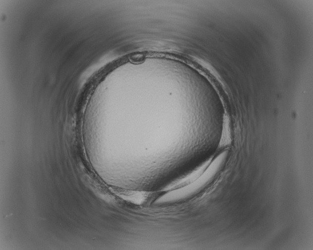 X0000082740971200702091859