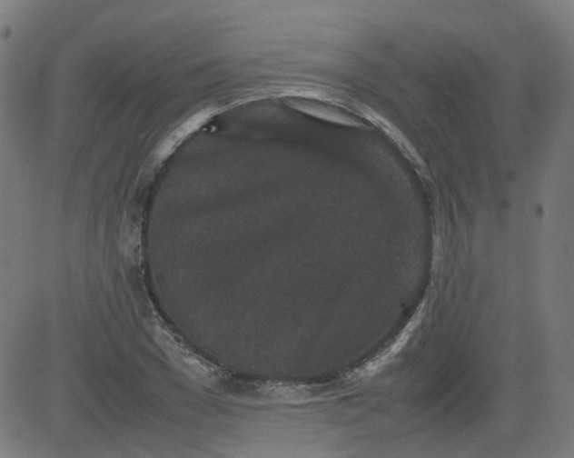 X0000082740977200702091859