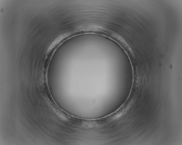 X0000082740978200702091859