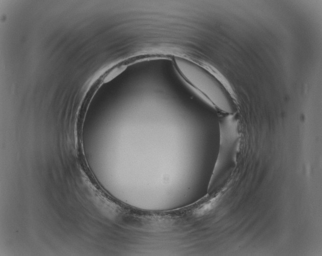 X0000082740980200702091859