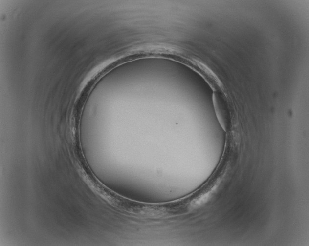 X0000082740981200702091859