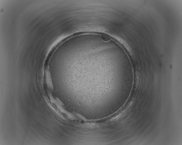 X0000082740982200702091859