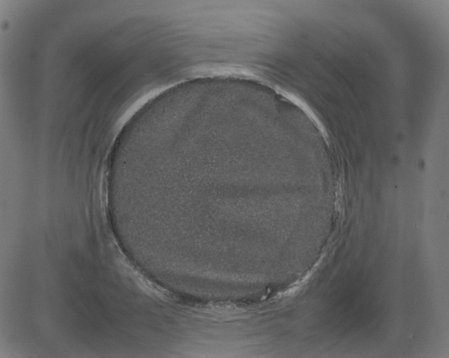 X0000082740983200702091859