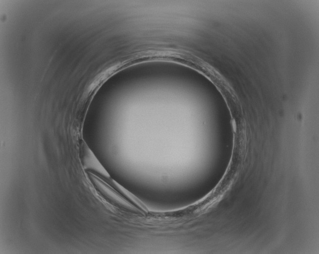 X0000082740985200702091859