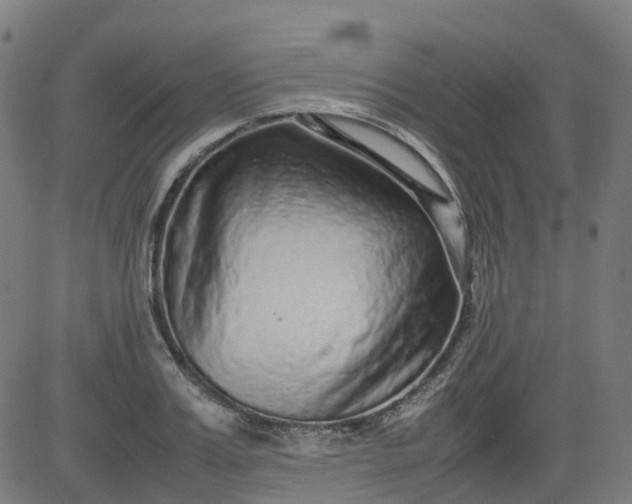 X0000082740987200702091859