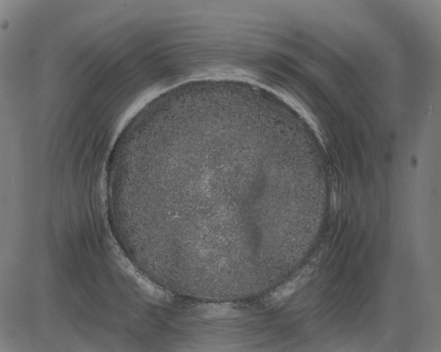 X0000082740990200702091859