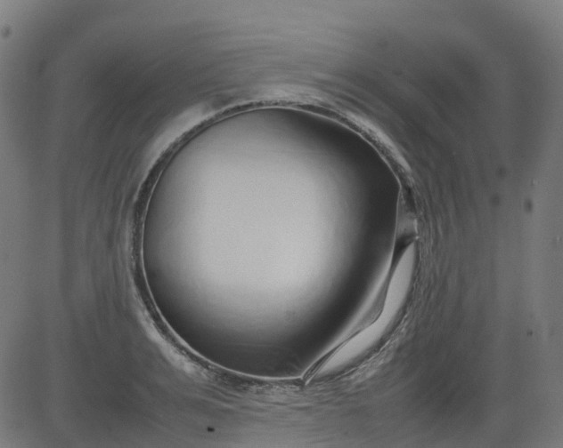 X0000082740991200702091859