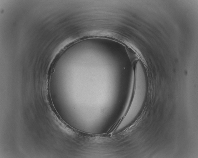 X0000082740992200702091859