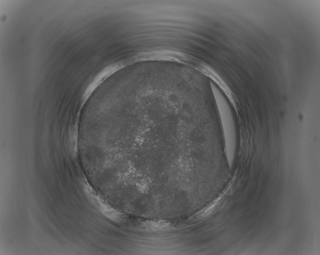 X0000082740994200702091859