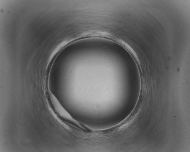 X0000082740997200702091858