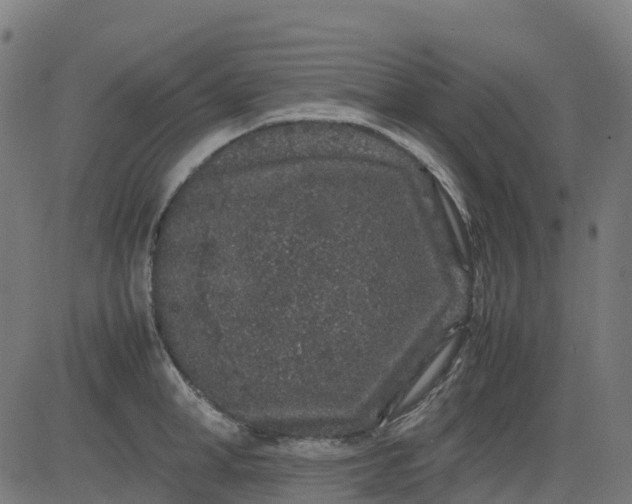 X0000082740998200702091858