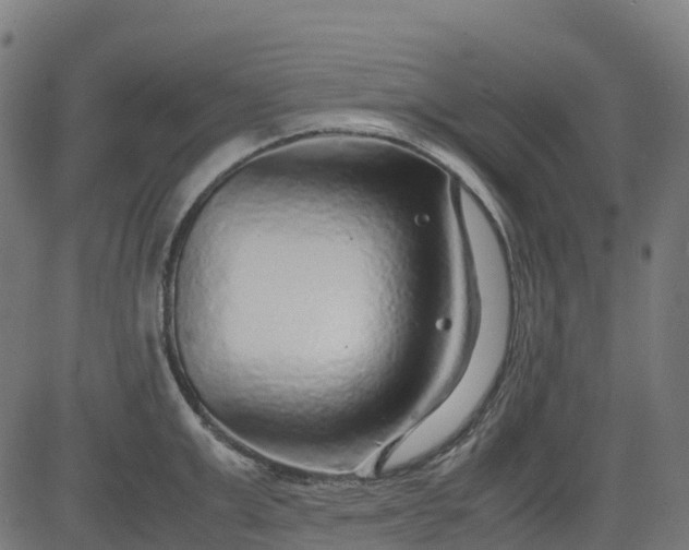 X0000082740999200702091858