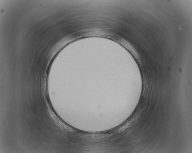 X0000082741000200702091858