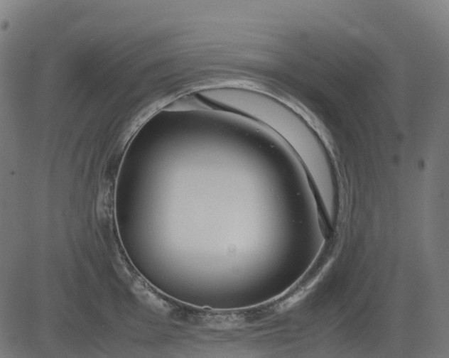 X0000082741001200702091858