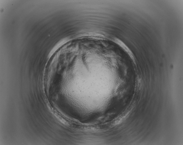 X0000082741002200702091858