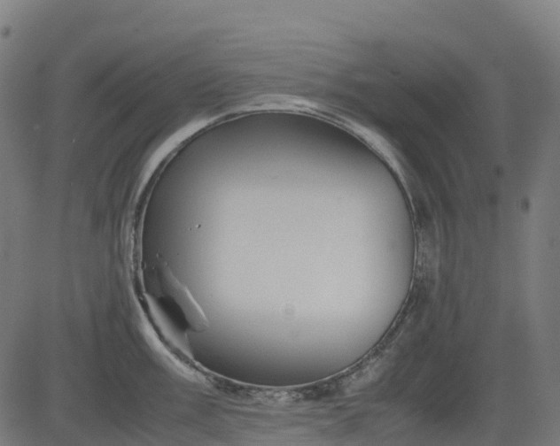 X0000082741003200702091858