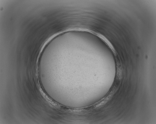 X0000082741004200702091858