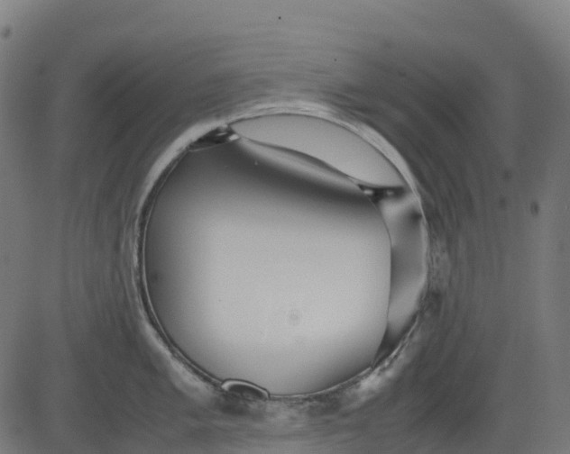 X0000082741005200702091858